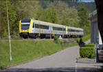 612 104 und 612 109 in Bad S�ckingen.