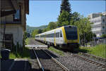 612 109 und 612 104 in Bad S�ckingen. April 2026.