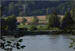 Hochwasser am Hochrhein.