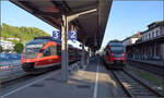 644 036 und 644 049 in Waldshut. April 2026.
