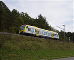 650 632, intern SWEG 236, dieselt fleissig unter Fahrdraht auf dem Weg nach Tuttlingen bei Aldingen.