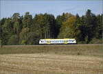 650 632, intern SWEG 236, auf dem Weg nach Villingen bei Zollhaus.