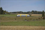 650 632, intern SWEG 236, auf dem Weg nach Villingen bei Zollhaus. Oktober 2024.