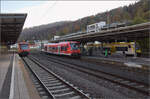 RS1-Paradies Horb.

650 308 nach Tübingen steht auf dem Gäubahngleis parat, während in Gegenrichtung nach Pforzheim 650 015 einfährt. Dahinter der bereits ergelbte 650 109. Horb, November 2025.