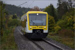 Ein einzelner Ringzug nach Rottweil. Der RS1 der Baureihe 650, alias SWEG VT 232 muss den Kurs alleine wuppen. Oktober 2026.