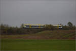 Die RS1 BR 650 der SWEG VT 247 und VT 240 auf dem Weg nach Villingen. Dei�lingen, Oktober 2026.