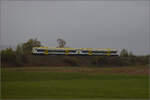 Die RS1 BR 650 der SWEG VT 247 und VT 240 auf dem Weg nach Villingen. Dei�lingen, Oktober 2026.