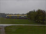 Die RS1 BR 650 der SWEG VT 247 und VT 240 auf dem Weg nach Villingen. Dei�lingen, Oktober 2026.