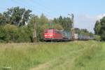 151 075-9 mit einem LKW-Walter Wechselpritschenzug zwischen Nauheim und Groß-Gerau.