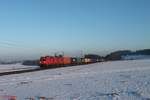 185 318-3 zieht ein Containerzug bei Seubersdorf.