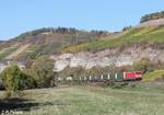 185 271-4 zieht mit dem KT 41921 Neuss Gbf - Wels Vbf Wenzel Wechselpritschen bei Himmelstadt gen Süden.