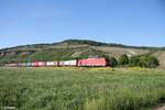 185 3xx zieht ein langen Containerzug bei Thüngersheim.