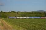 146 522 Akiem mit dem bunten Autozug bei Buggingen.