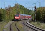 6-146-br-146-traxx-ac2/824022/die-arg-gerupfte-schwarzwaldbahn-hat-derzeit Die arg gerupfte Schwarzwaldbahn hat derzeit ein Zwischenhoch und fährt mal wieder einen Hauch zuverlässiger. 146 229 mit vier Dostos in Welschingen. September 2023.