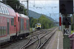 563 016 trifft in Biberach (Baden) ein während die Schwarzwaldbahn mit 146 236 einen allseits beliebten Sichtanschluss herstellt.