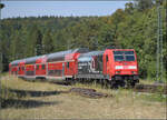 146 235 mit vertragswidrig kurzem Zug nach Konstanz.