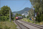 Fremdlok 146 202 mit vertragswidrig kurzer Schwarzwaldbahn in M�hlhausen. August 2026.