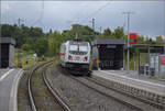 147 580 mit IC2 4877 in Welschingen. Juli 2025.