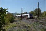 RABe 521 206 und RABe 521 205 in Welschingen. August 2026.