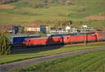 Sonnentag in Frick.

185 131 und 185 141 mit einem Mischer auf dem Weg nach Basel. Frick, November 2024.