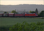 185 137 und 185 115 bei Henschiken, Juni 2025.