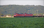 185 100 und 185 119 bei Henschiken, Juni 2025.