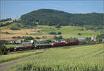 185 124 und 185 131 mit einem Stahlzug bei Frick, Juni 2025.