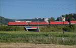 Dreifachtraktion 185 133, 185 114 und 185 119 bei Salina Raurica. August 2025.