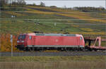 Herbst in Auggen.

185 070 mit leeren Autotransportwagen auf dem Weg nach Basel. Oktober 2025.