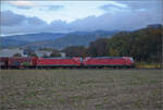 185 094 und 185 090 bei Buggingen.