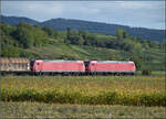185 120 und 185 106 s�dw�rts mit Schiebewandwagen. Buggingen, September 2026.