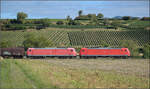 185 118 und 185 129 s�dw�rts mit Stahl. Buggingen, September 2026.