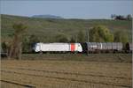 Railpool 185 678 mit rotem Feld bei Scherzingen.