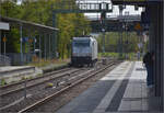 185 417 von Railinvest durchf�hrt den Bahnhof Schifferstadt. September 2026