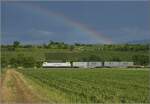 186 158 Captrain mit Regenbogn bei Buggingen.