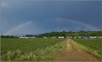 186 158 Captrain mit Regenbogn bei Buggingen.