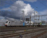 6-186-br-186-traxx-ms2e/842736/186-101-von-railpool-in-pratteln 186 101 von Railpool in Pratteln. März 2024.