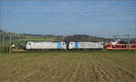 Aargauische Südbahn.

186 101 und 187 007 von Railpool bei Hendschiken. November 2024.