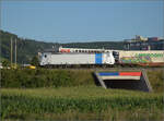 186 504 von Railpool bei Salina Raurica.