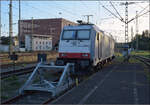 186 148 von Akiem in Singen. September 2026.