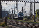  Dirty Diana  187 007 fährt einen Zug durch Pratteln. August 2026.