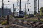  Dirty Diana  187 007 fährt einen Zug durch Pratteln. August 2026.