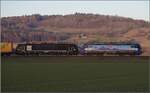 193 522 LBBW/SBBCI und 189 995 MRCE/SBBCI in Hendschiken.