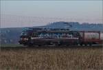 Am fast dauerverschlossenen Bahnbergang.

193 701 der RTS mit an die SBB-Piercer angelehntem Design in Hendschiken. Februar 2023.