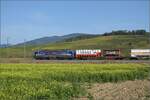 Markgrfler Land im Wettstreit zwischen Frhling und Herbst. 

193 532 'Rhein' fr die SBB bei Auggen. Oktober 2023.