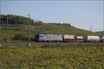 Markgrfler Land im Wettstreit zwischen Frhling und Herbst. 

193 532 'Rhein' fr die SBB bei Auggen. Oktober 2023.