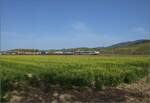 Markgräfler Land im Wettstreit zwischen Frühling und Herbst.