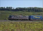 Markgrfler Land im Wettstreit zwischen Frhling und Herbst. 

Blackpiercer 193 658 'Vierwaldsttter See' fr die SBB bei Auggen. Oktober 2023.