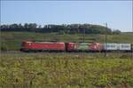 Markgrfler Land im Wettstreit zwischen Frhling und Herbst. 

193 328 und 193 310 'Das ist grn' bei Auggen. Oktober 2023.