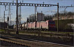 193 323 und 193 348 in Pratteln. März 2024.